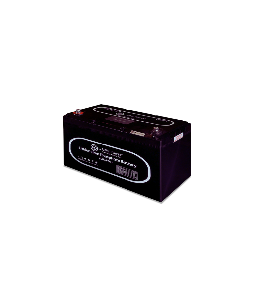 AIMS Power 12V LFP Battery Charger