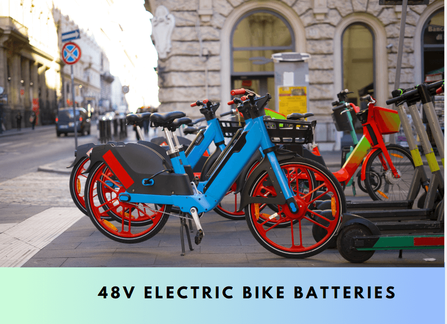 5 48V Electric Bike Batteries