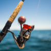 Electric Fishing Reel Battery Guide