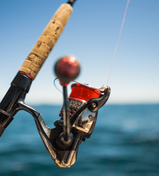 Electric Fishing Reel Battery Guide