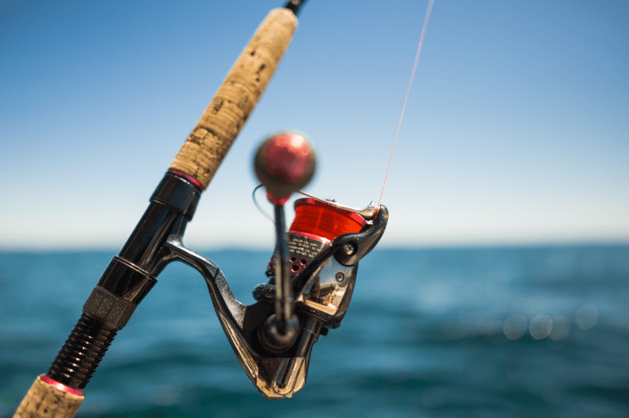 Electric Fishing Reel Battery Guide